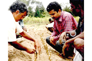 Entrance of Krishimela