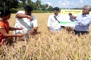 Thumbnail Placeholder