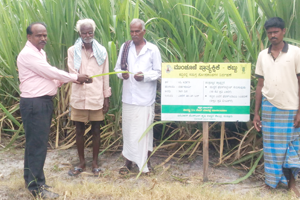 Thumbnail Placeholder