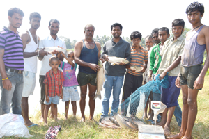 Thumbnail Placeholder