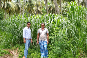 Thumbnail Placeholder