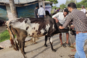 Thumbnail Placeholder