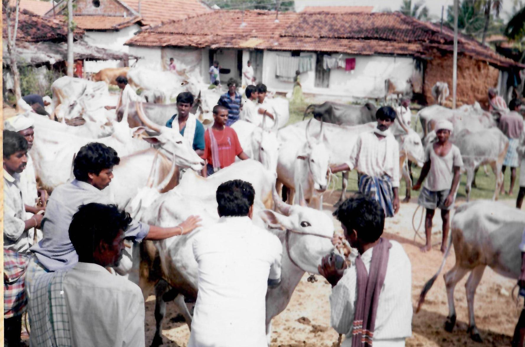 Thumbnail Placeholder