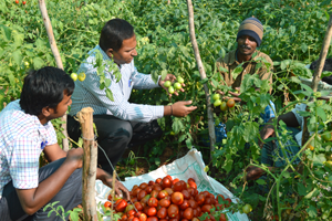 Thumbnail Placeholder