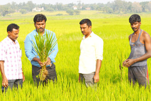 Thumbnail Placeholder