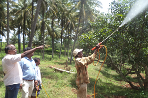 Thumbnail Placeholder