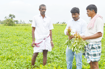 Thumbnail Placeholder