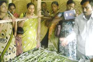 Thumbnail Placeholder