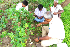 Thumbnail Placeholder