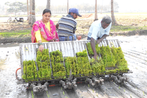 Thumbnail Placeholder