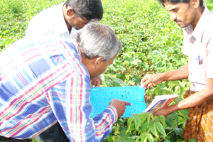 Thumbnail Placeholder