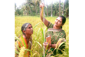 Thumbnail Placeholder