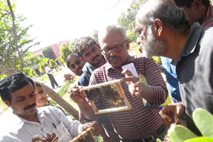 Thumbnail Placeholder