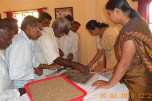 Thumbnail Placeholder