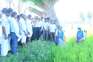 Thumbnail Placeholder