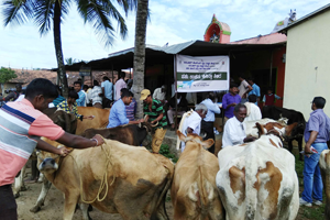 Thumbnail Placeholder