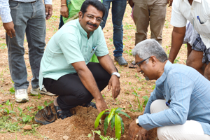 Thumbnail Placeholder