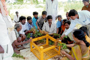 Thumbnail Placeholder