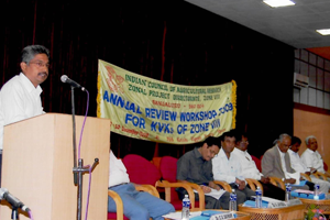 Thumbnail Placeholder