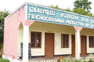 Entrance of Krishimela