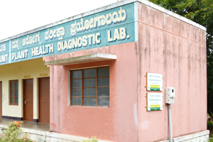 Entrance of Krishimela