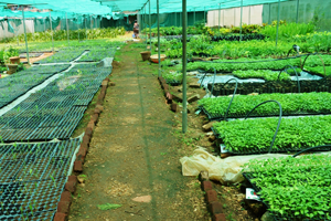 Entrance of Krishimela