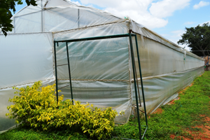 Entrance of Krishimela