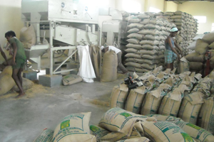 Entrance of Krishimela