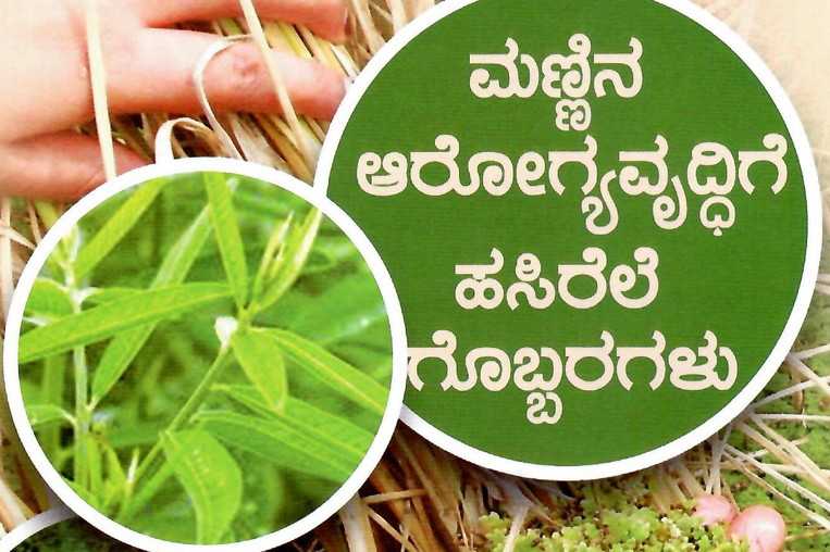 ಬೆಟ್ಟದ ನೆಲ್ಲಿ