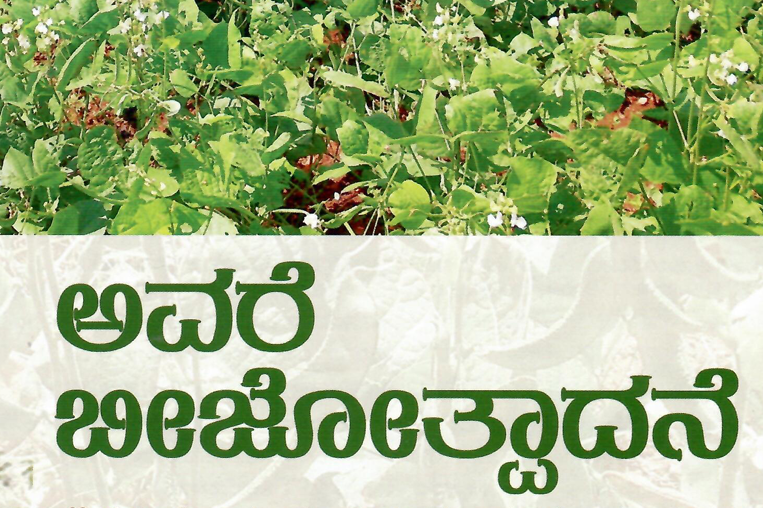 ಅವರೆ ಬೀಜೋತ್ಪಾದನೆ- Dolichos Seed Production