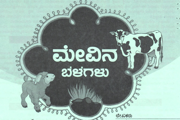 ಮೇವಿನ ಬೆಳೆಗಳು - Fooder Crops