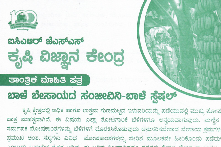 ಬಾಳೆ ಸ್ಪೇಷಲ್ - Banana Special