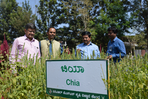 Thumbnail Placeholder