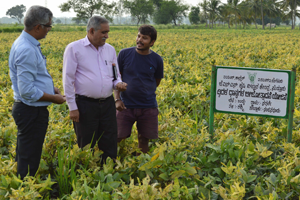 Thumbnail Placeholder